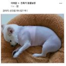 태형수지 | 개강해질 나
