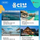 베리굿투어 이미지