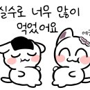 봉정로 네이버블로그