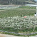 정산농장 이미지