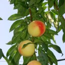 기현농장 이미지