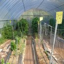 소미밥상 이미지