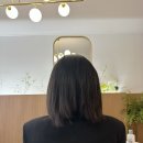인천붙임머리 합리적으로 이용할 수 있는 붙임머리,바이초 부평점