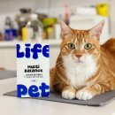 제라펫 | 반려동물 영양제 이거 하나로 해결! 라이프펫 멀티밸런스 종합영양제
