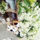 산정목장 이미지