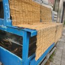 오거리 수족관 앞 이미지