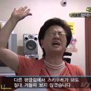 알프스베이커리