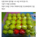 이가격실화임!(칼라로스트볼 +A~A, 고급반양피장갑) 이미지