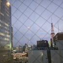 세븐일레븐 부산일보점 | [일본] Day1 나고야, 피치항공,엑세스바이르와지르호텔,우나와,히츠마부시,미라이타워,오아시스21...