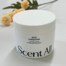 천연올 | 화장실 탈취제 고체탈취체 센트올(Scent All) 사용후기 | 천연 유래 성분·No.0 언센티드향
