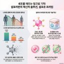 프라임 발전소 | 당신의 세포 운영체제(OS)를 업데이트하라: 설포라판의 기적