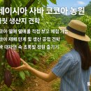 세계로관광농원 Daum카페