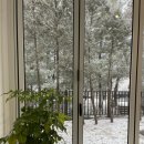 써니핏 다이어트 | 성복동 다이어트 끝판왕! 셀포랩 써니점에서 새해 다이어트 시작한 후기