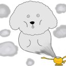 송화회초밥 이미지