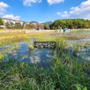원탑성형외과의원 이미지