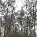 원계마을회관 이미지