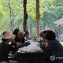 시민의숲산책로1-21 이미지