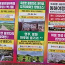 동해여행사