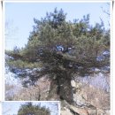 담안농장 | [20111030]동두천 6산 종주산행 中 마차산 구간(소요산역~마차산~보산역)을 다녀오다 - 2부