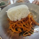 석정복어 이미지