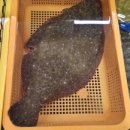 거금힐링타운 이미지