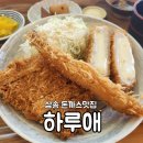 삼송하루애 | 고양시 삼송돈까스맛집 하루애