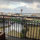 월정씨하루 이미지