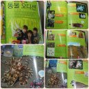 면신수퍼