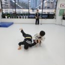 고산 합기도 거호의인총본관 이미지