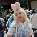 폼#반려견미용실 | 30대 남자, 인생 머리 찾고 스타일 변신 성공한 후기 일산미용실 편