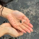 대한목장 이미지