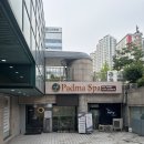 푸리테라피 | 강남 통증관리 받고 온 후기 | 발목 불편함 케어를 위한 푸리파드마 스파 방문 후기