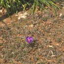 계룡장로교회 이미지