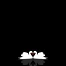 미소라인 이미지