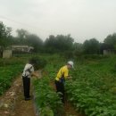 석현농장 이미지