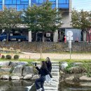만세비어