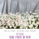 구절초가는길 | 2025 정읍 구절초 축제 | 10.09 다녀온 후기 ꕤ