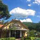 BEST 골프클럽 이미지