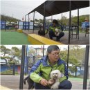 펫피랜드 이미지