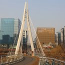 개나리교 부근 이미지