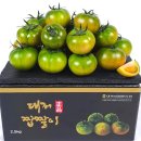 토마토 이미지