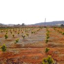 선사농원 이미지