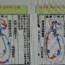 선가 이미지