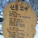 덕유산산행기 . . . . . . . . . 시와고목의 향연 이미지