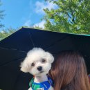 행자네 멍발소 이미지