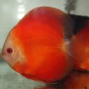 워터월드코리아 이미지