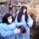 광동 경로당 이미지