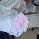 세미나세탁소 이미지