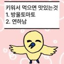 죽을 때까지 아이나나하고 지는 쪽은 무지개가 되는 거로
