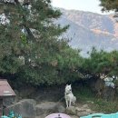 510커피 | 완주 "OOO OOO 캠핑장" - 이 또한 추억이려니 .. 코베아 베이스터널 510 AL